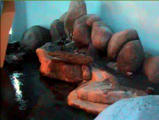 20120910-penguin2.png